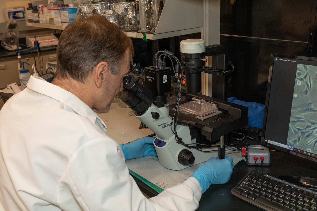 An Axolotl Biologix engineer works with a microscope